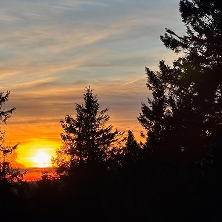 Ferienwohnung Wolkenplatz Winterberg Eksteriør bilde