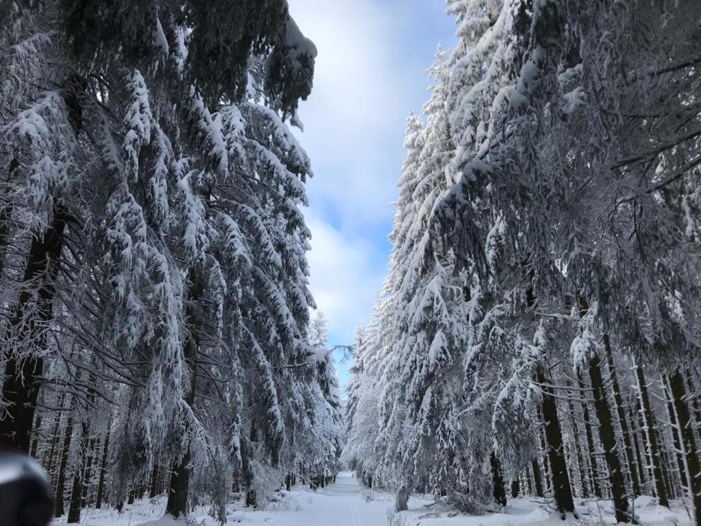 Ferienwohnung Wolkenplatz Winterberg Eksteriør bilde