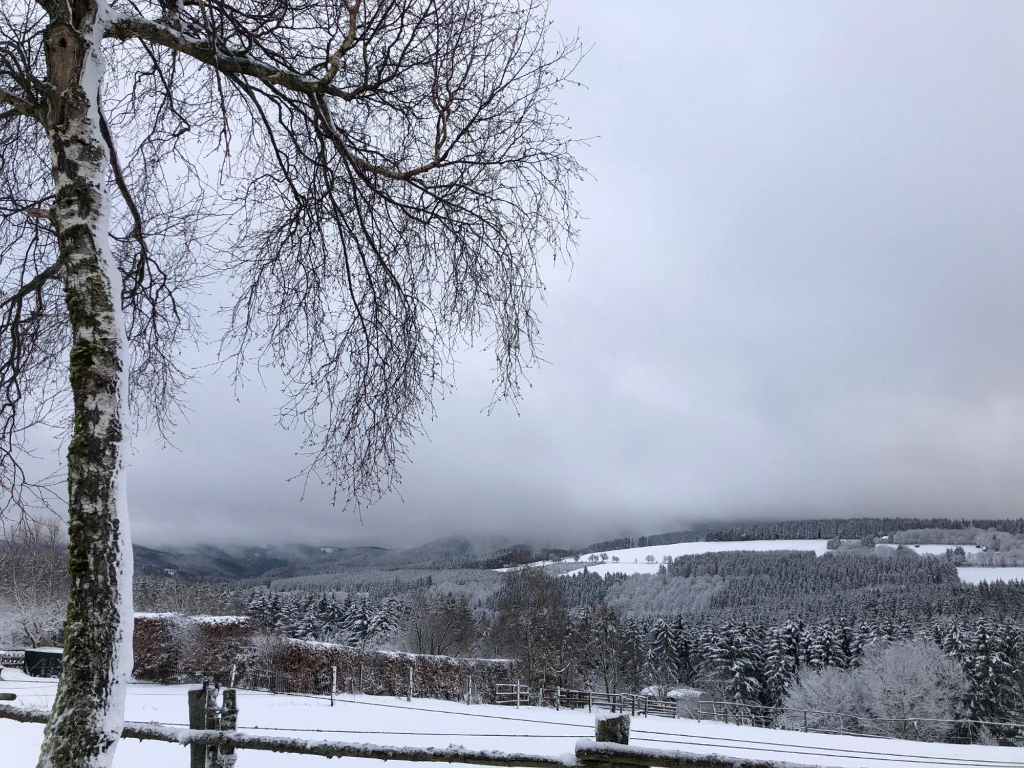 Ferienwohnung Wolkenplatz Winterberg Eksteriør bilde