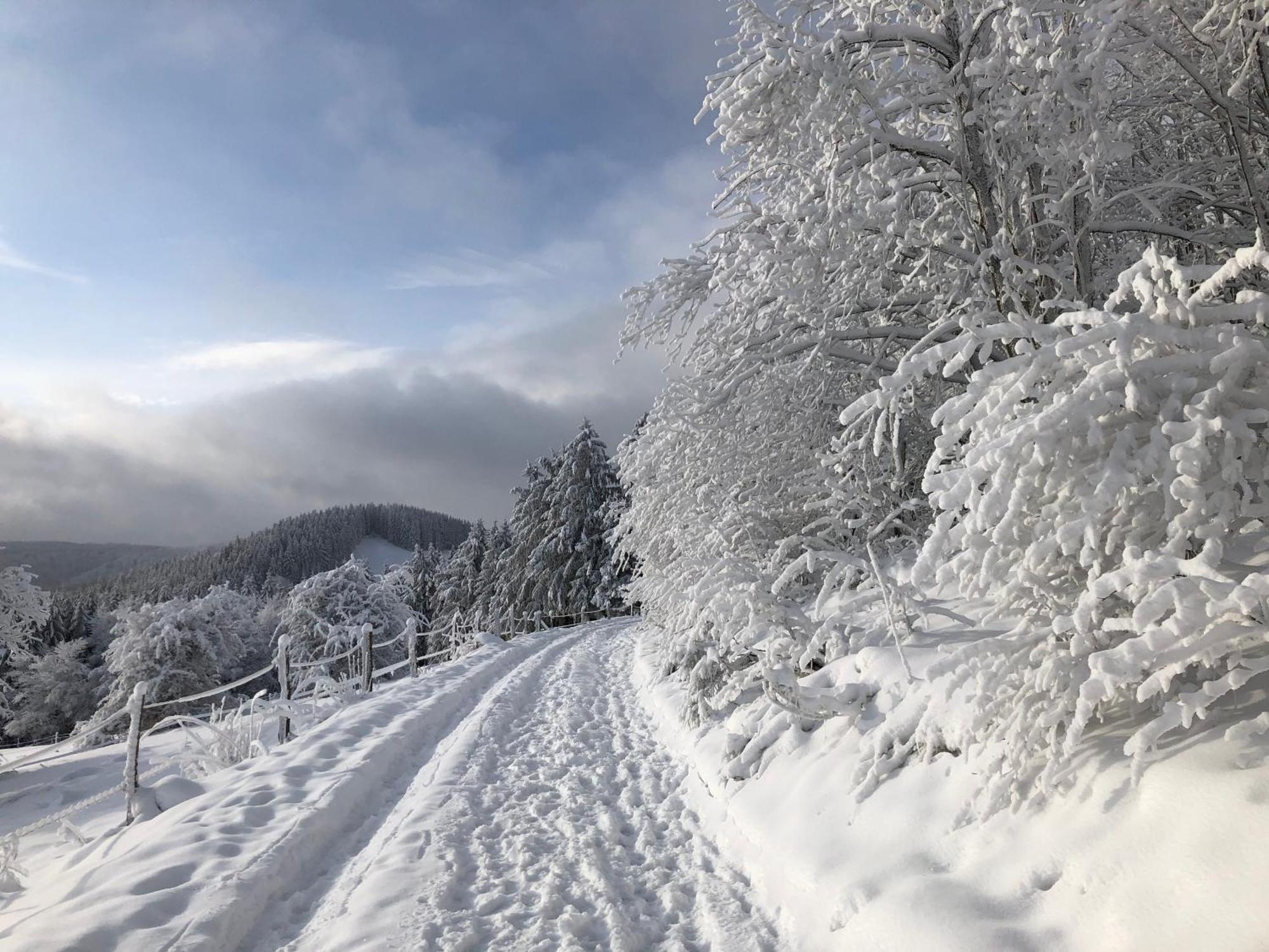 Ferienwohnung Wolkenplatz Winterberg Eksteriør bilde