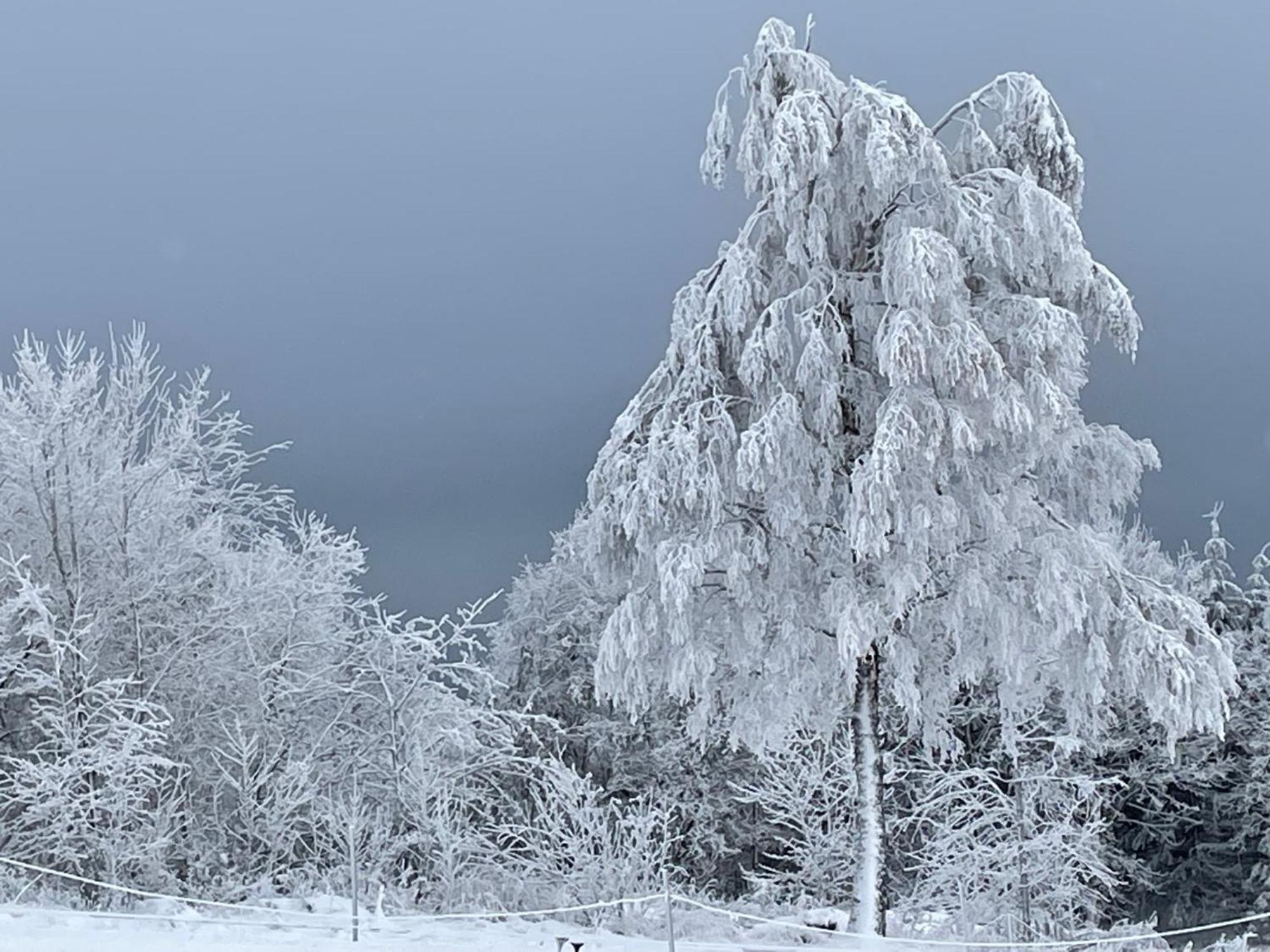 Ferienwohnung Wolkenplatz Winterberg Eksteriør bilde