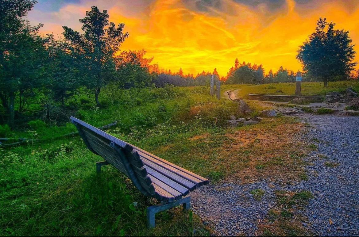 Ferienwohnung Wolkenplatz Winterberg Eksteriør bilde